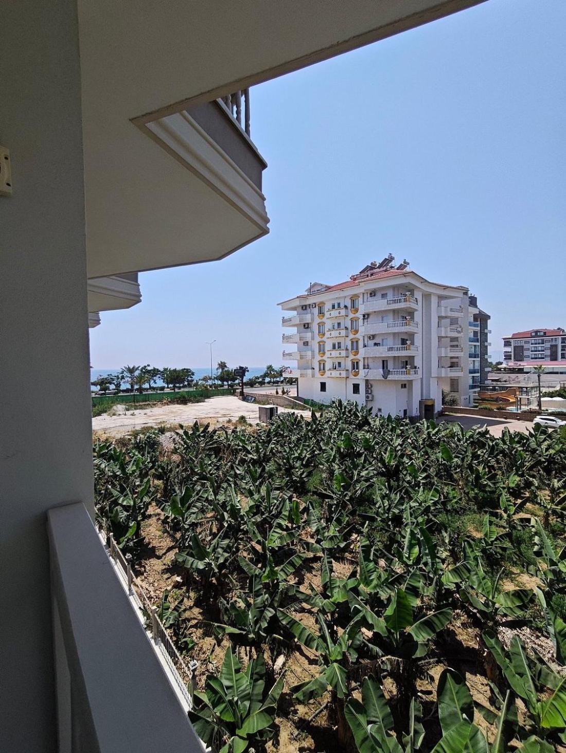 Sey Beach Hotel & Spa 알란야 외부 사진
